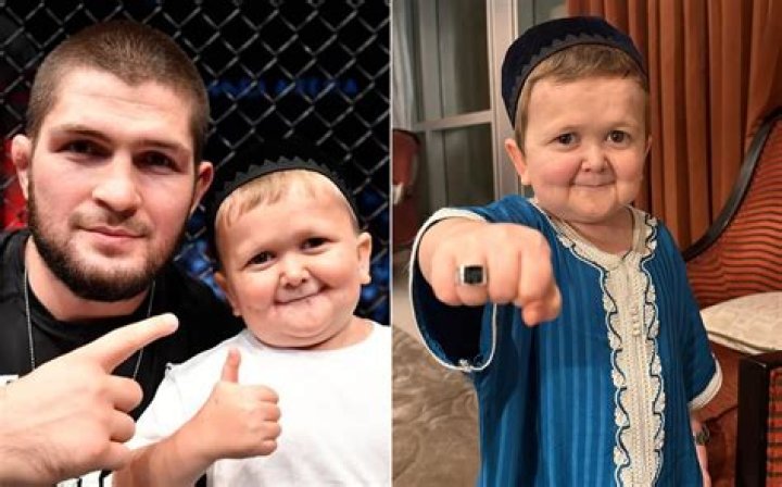 Hasbulla Magomedov's Mother: Who Is She?