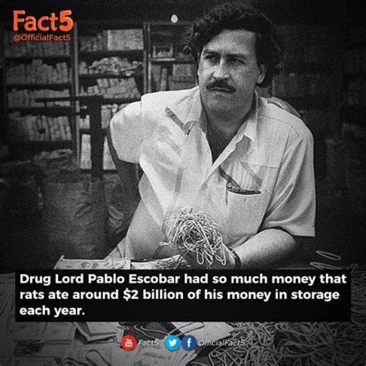 How Much Did Pablo Escobar's Drug Empire Profit?