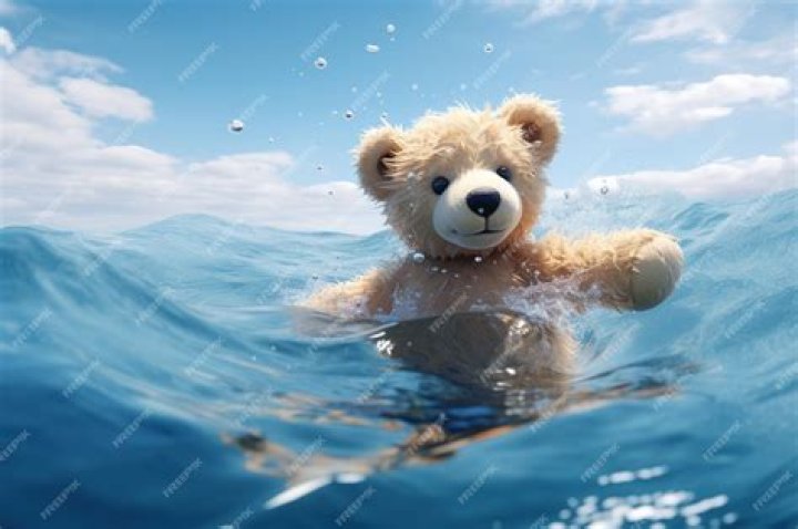 The Captivating Adventure Of Teddy The Swimming Bear