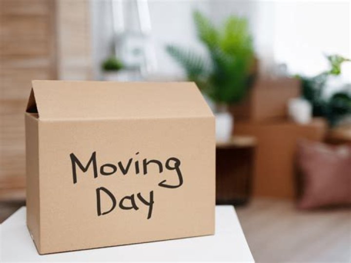 The Ultimate Guide To Moverulz Today: Your Moving Day Simplified
