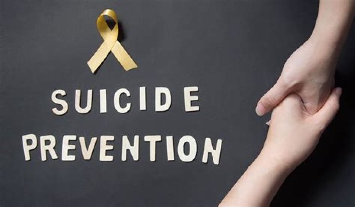 Understanding Aubreigh Suicide: Causes, Prevention, And Support