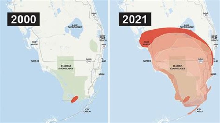 Where Does David Marks Live In Florida? (Solved)